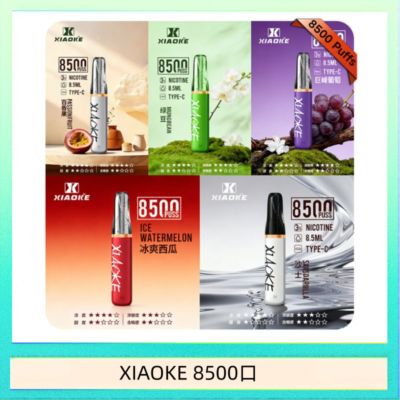 梟客XIAOKE一次性電子菸拋棄式8500口